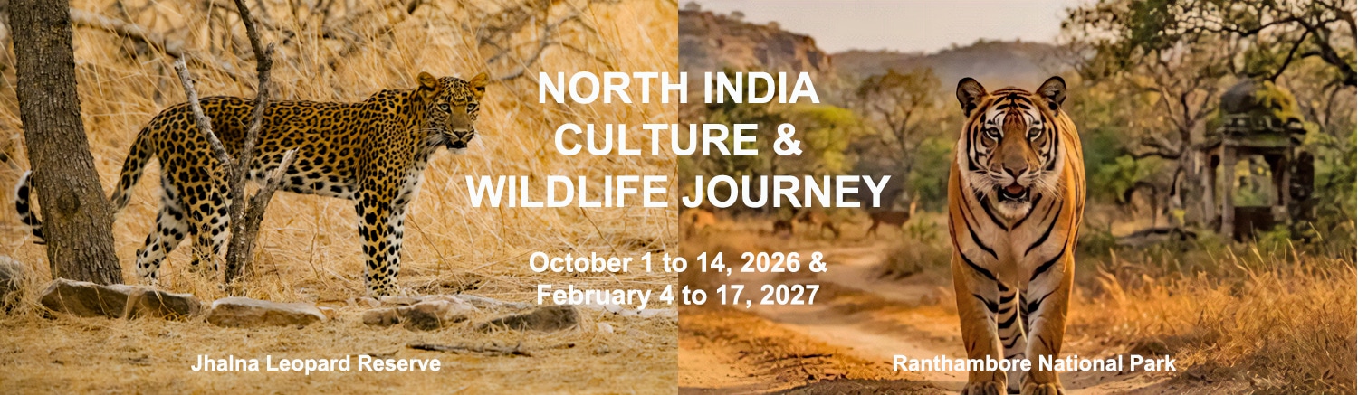 North India Culture & Wildlife Journey